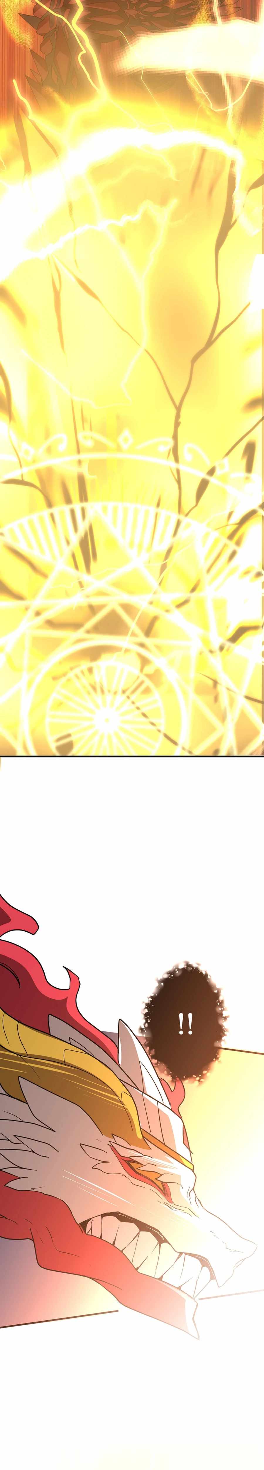 Dragons Awakening Chapter 28 21